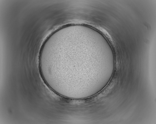 X0000111011183200907060949
