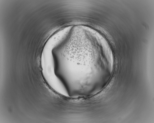 X0000111011185200907060949