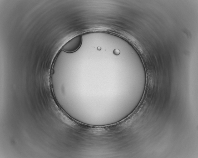 X0000111011186200907060949