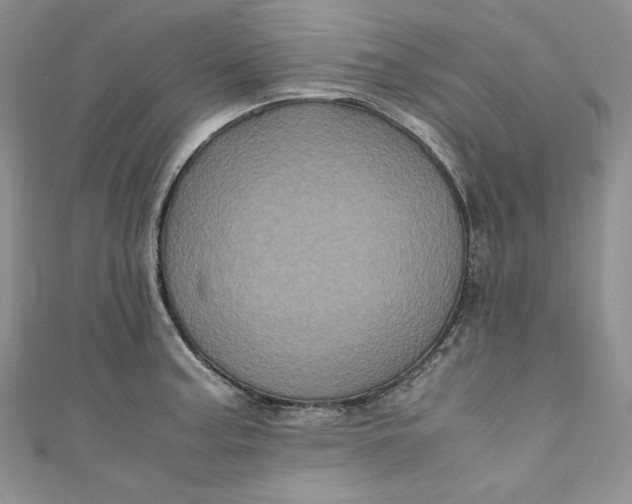 X0000111011187200907060949