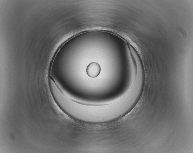 X0000111011189200907060949
