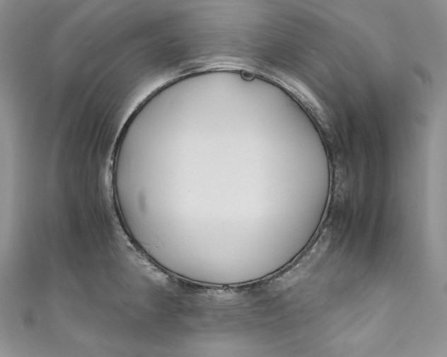 X0000111011190200907060949