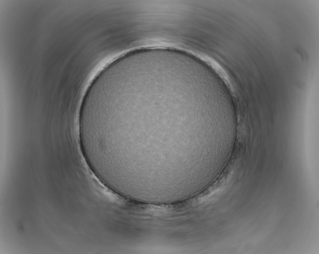 X0000111011191200907060949