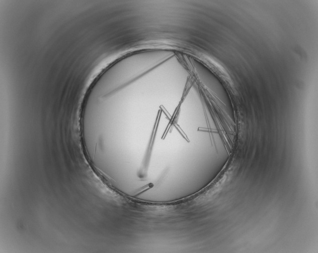 X0000111011192200907060949