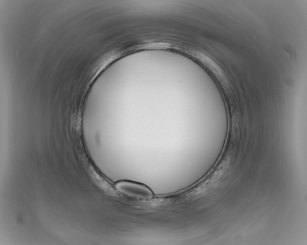 X0000111011193200907060949