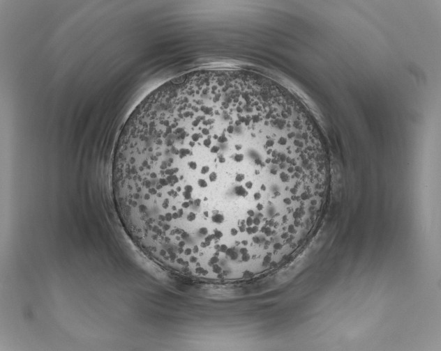 X0000111011194200907060949