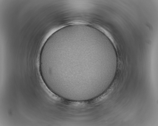 X0000111011195200907060949