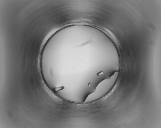 X0000111011196200907060949