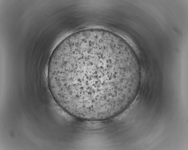 X0000111011198200907060949