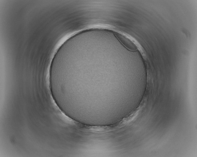 X0000111011199200907060949