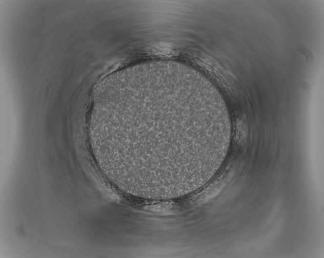 X0000111011201200907060948