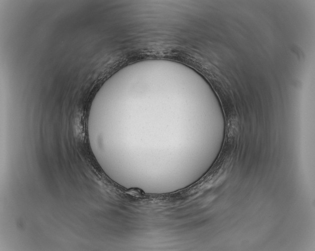X0000111011202200907060948