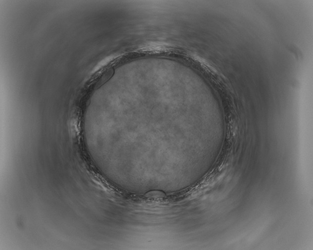 X0000111011206200907060948