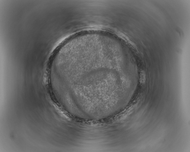 X0000111011208200907060948