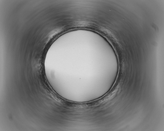 X0000111011210200907060948