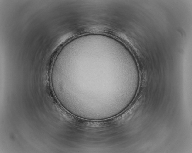 X0000111011211200907060948