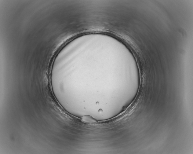 X0000111011212200907060948