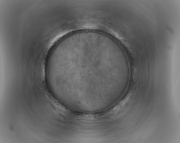 X0000111011214200907060948