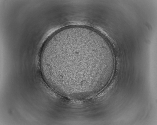 X0000111011215200907060948