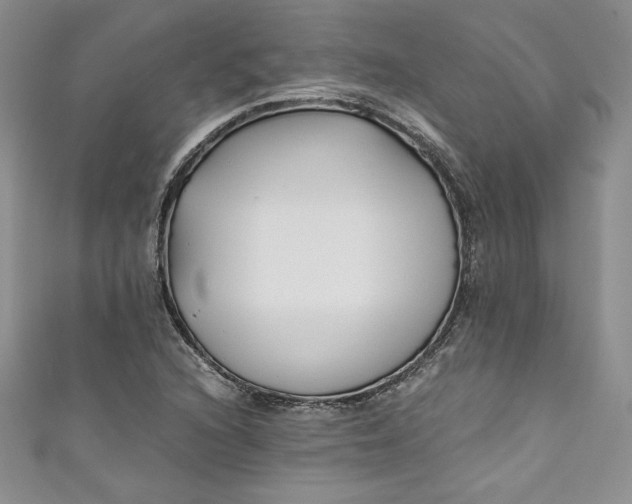 X0000111011216200907060948