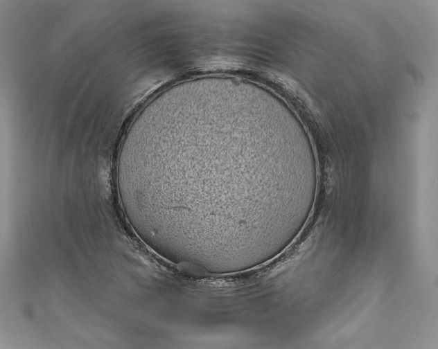 X0000111011217200907060948