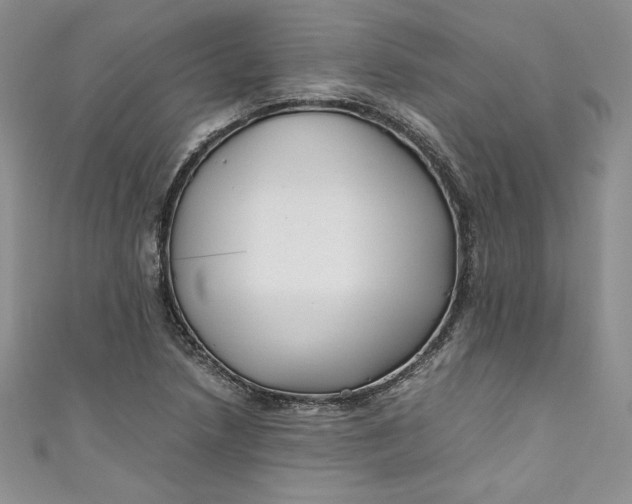 X0000111011218200907060948