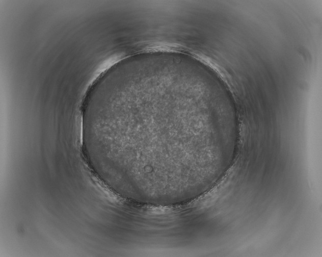 X0000111011219200907060948