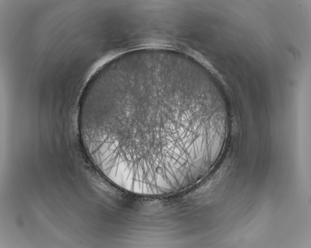 X0000111011222200907060948