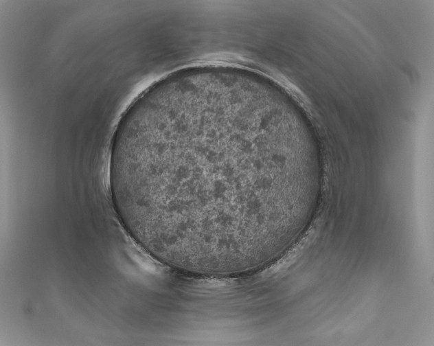X0000111011224200907060949