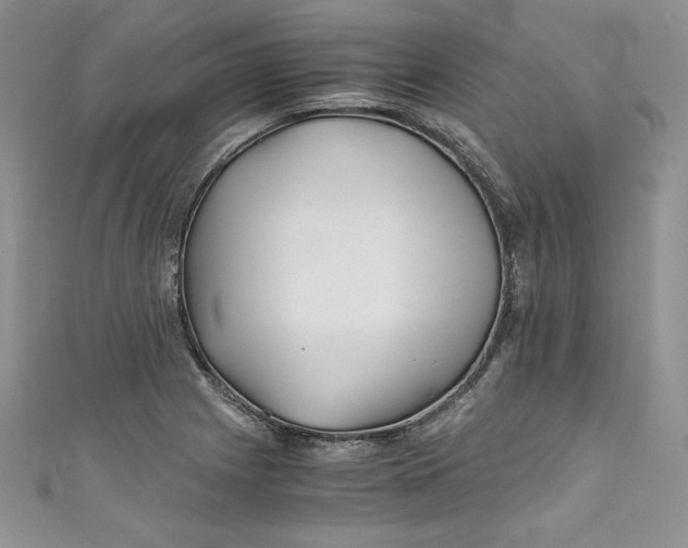 X0000111011225200907060949
