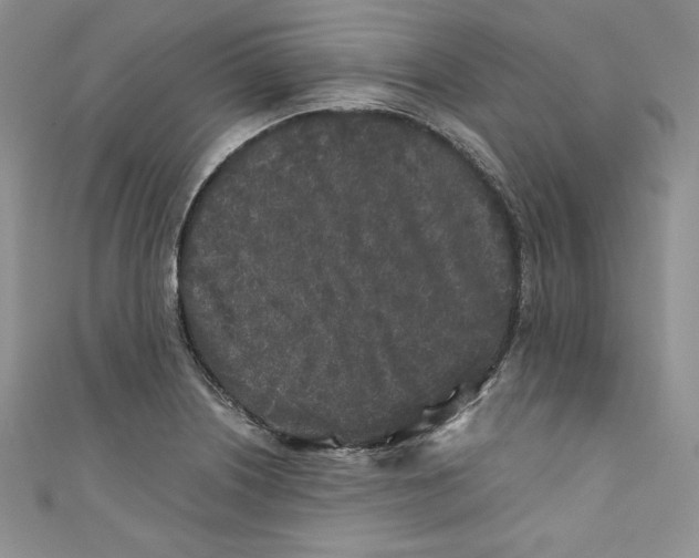 X0000111011226200907060949
