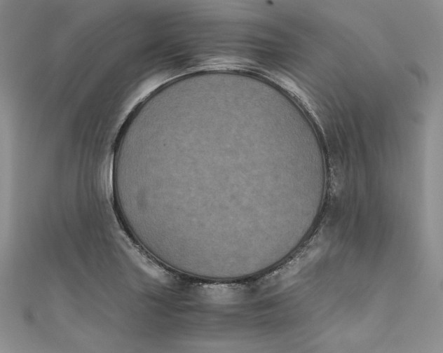 X0000111011227200907060949