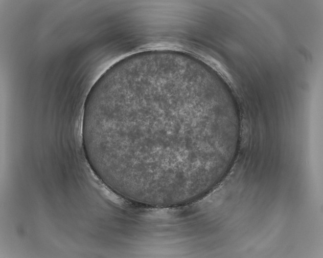 X0000111011228200907060949
