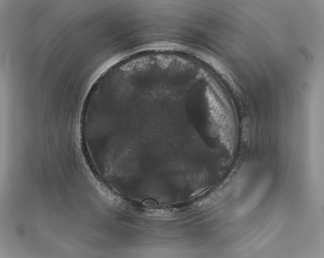 X0000111011229200907060949