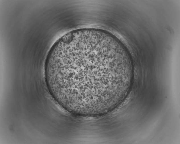 X0000111011230200907060949