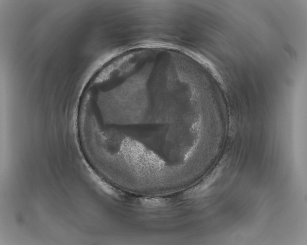 X0000111011231200907060949