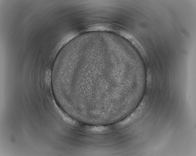 X0000111011233200907060949
