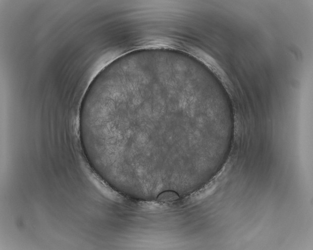 X0000111011234200907060949