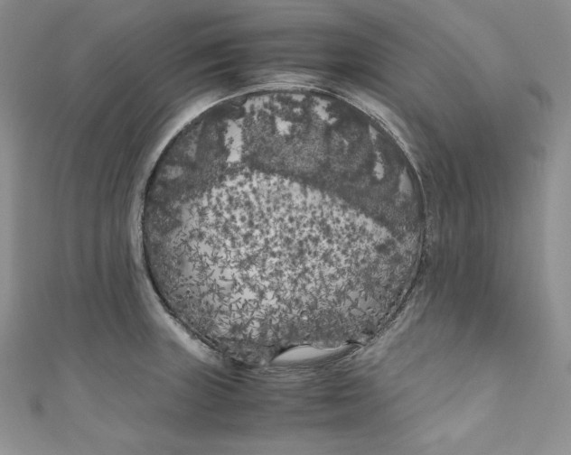 X0000111011235200907060949