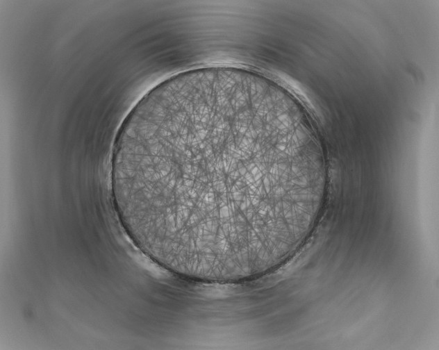 X0000111011236200907060949