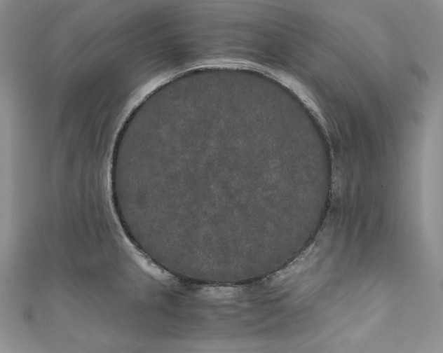 X0000111011237200907060949