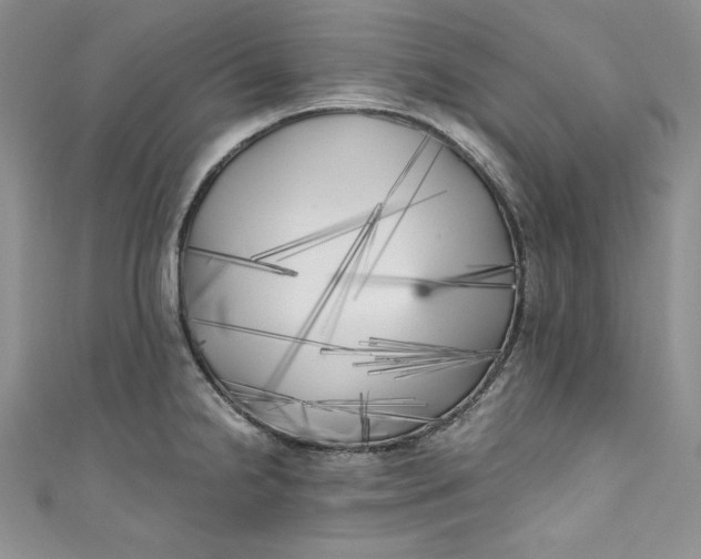 X0000111011238200907060949