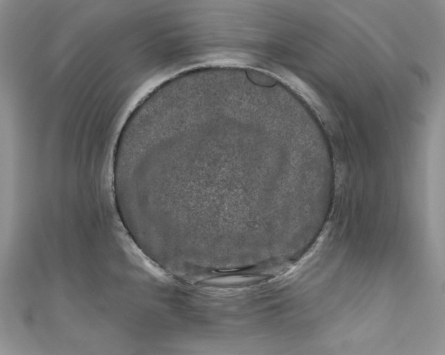 X0000111011240200907060949