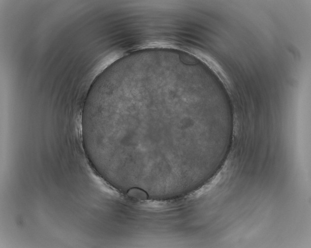 X0000111011241200907060949