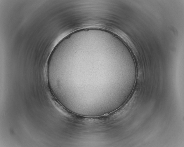 X0000111011242200907060949
