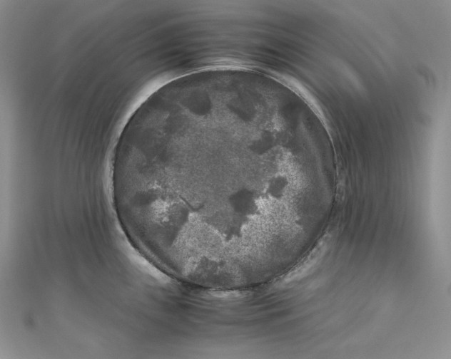 X0000111011243200907060949