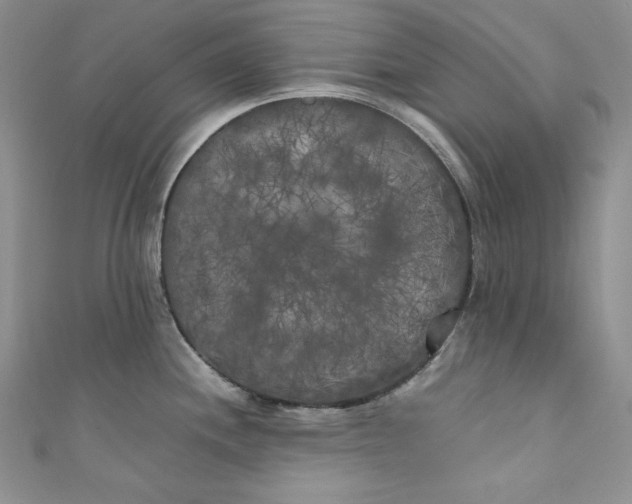 X0000111011244200907060949