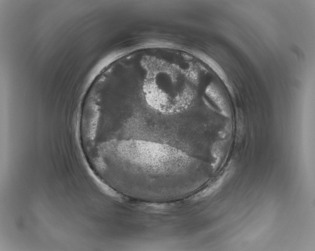 X0000111011245200907060949