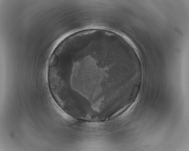X0000111011246200907060949