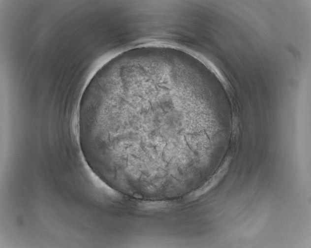 X0000111011247200907060949
